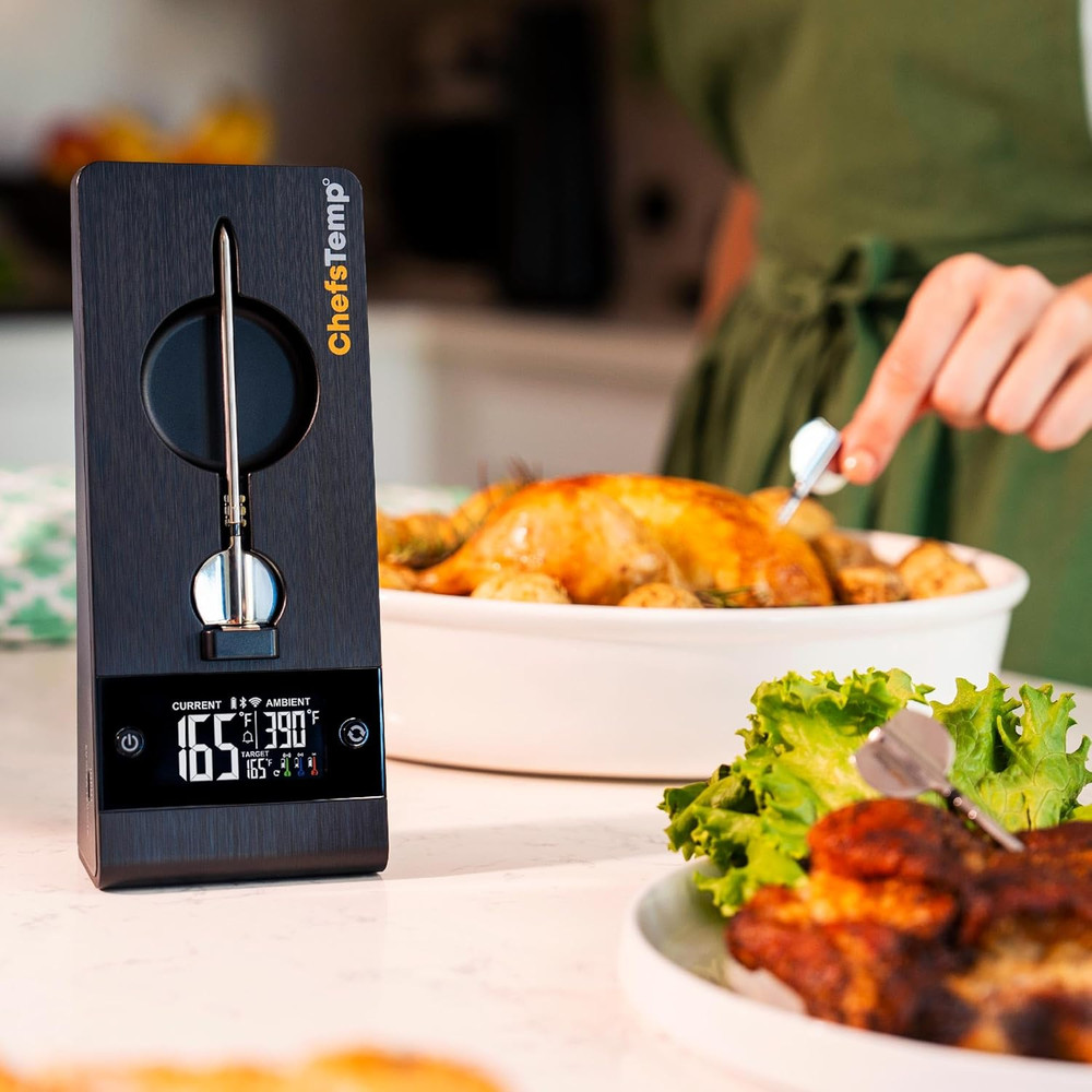 Protemp 2 plus Needle Probe Wireless Meat Thermometer with Temperature Controlle