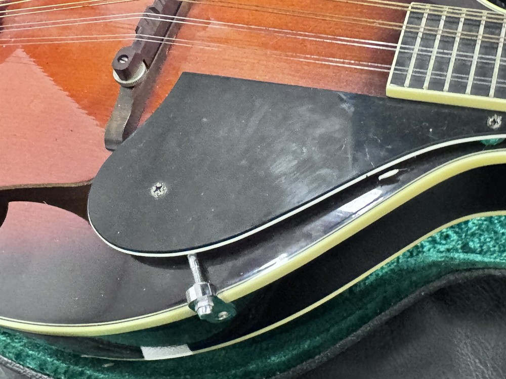 OSCAR SCHMIDT OM 10, Hard Case Great Shape