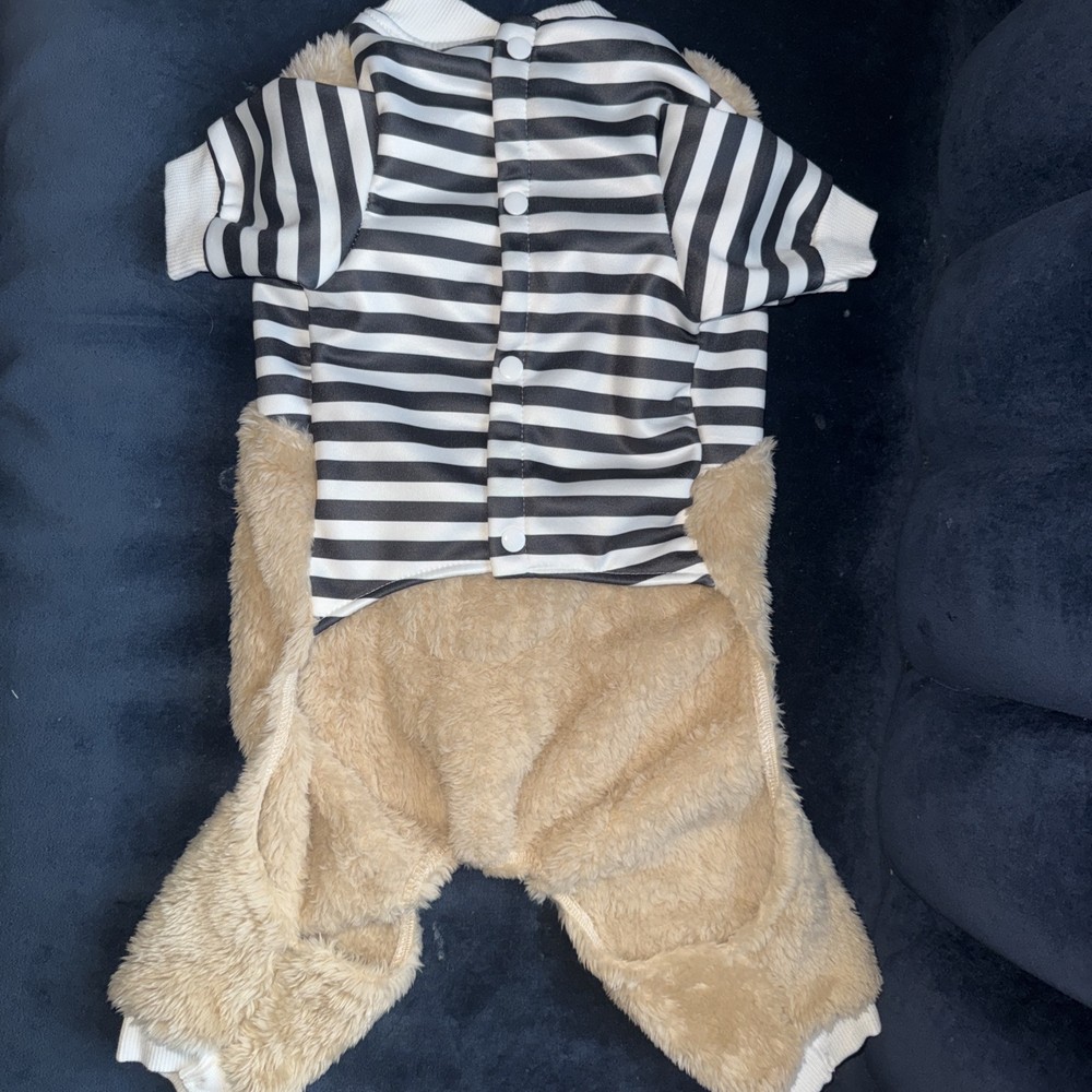 Brown Bear Dog Clothes