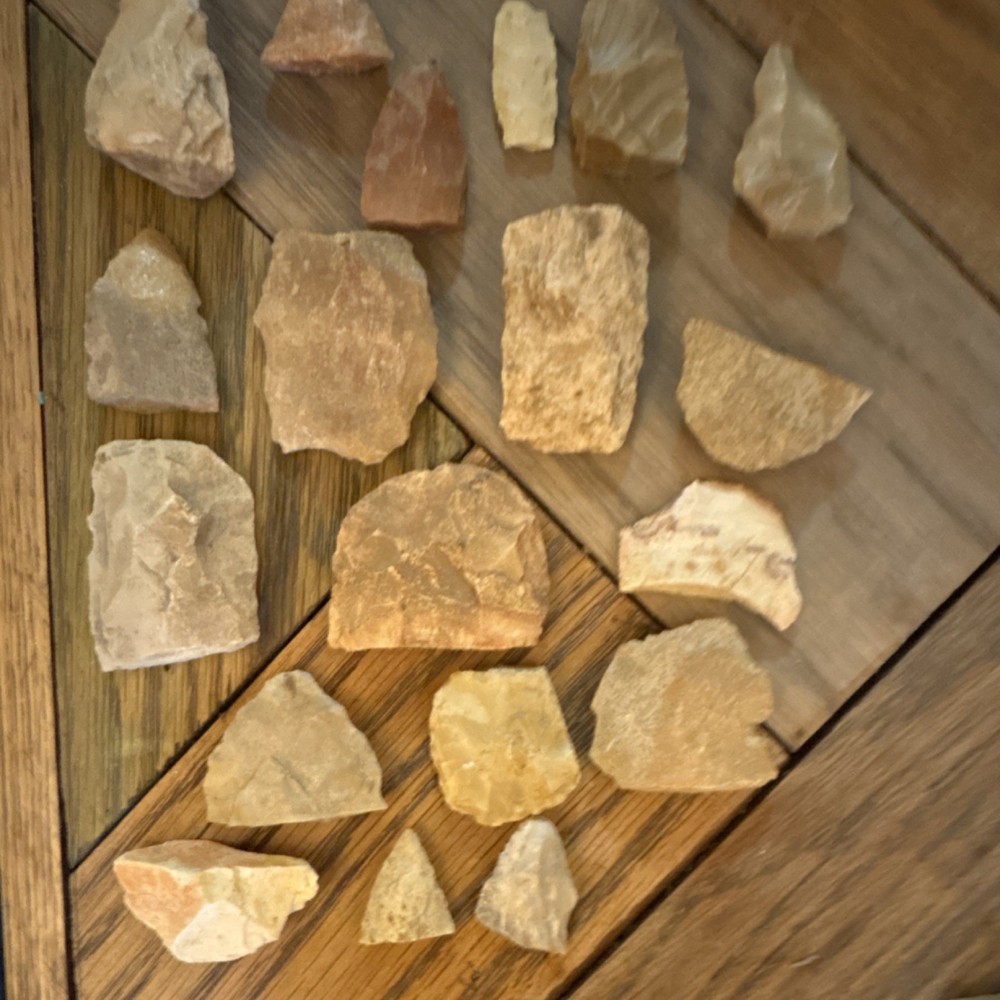 Assorted Rough Rocks and Minerals Collection