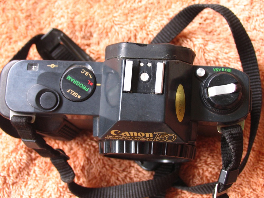 Canon T50 35mm Camera