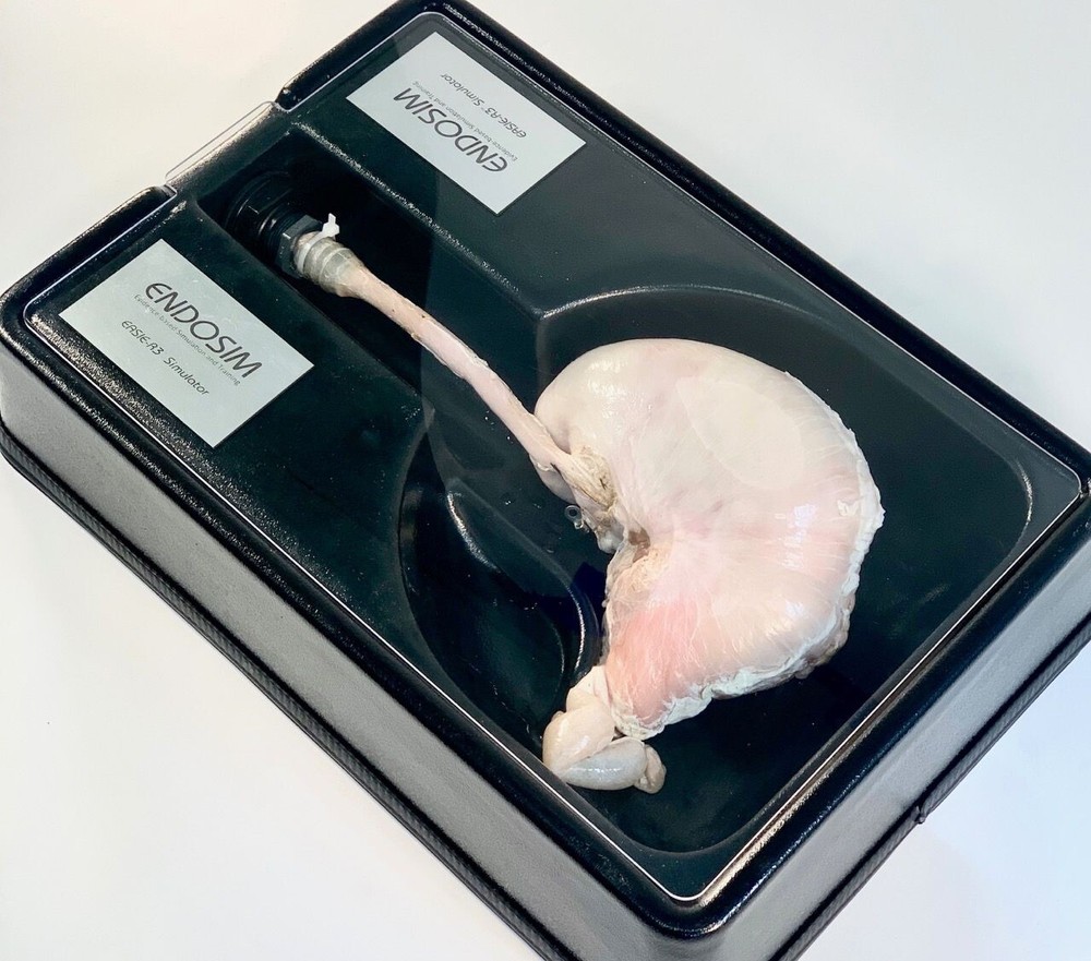 Endosim EASIE-R3 Endoscopic Real Tissue Simulator