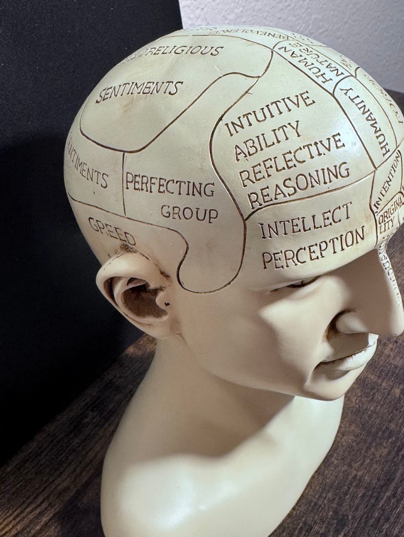 L.N. Fowler Phrenology Head Bust Ceramic Statue Medical History Decor Psychology