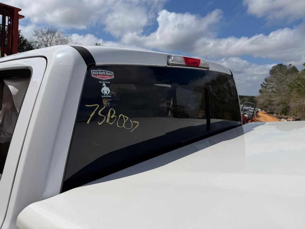 F150      2019 High Mounted Stop Light 104964530