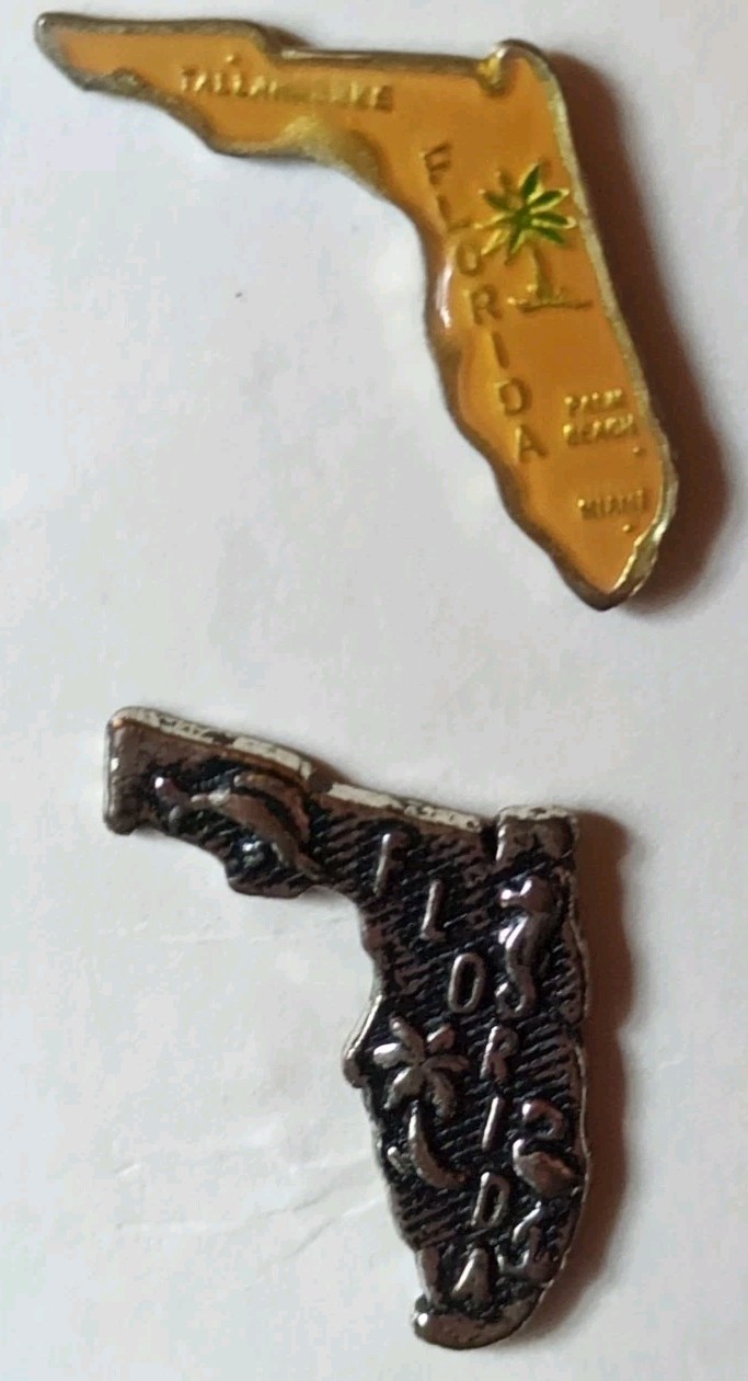 Vtg Florida State Shaped Tourist Travel Souvenir Pins Lot of 2 Enamel Plastic 1"