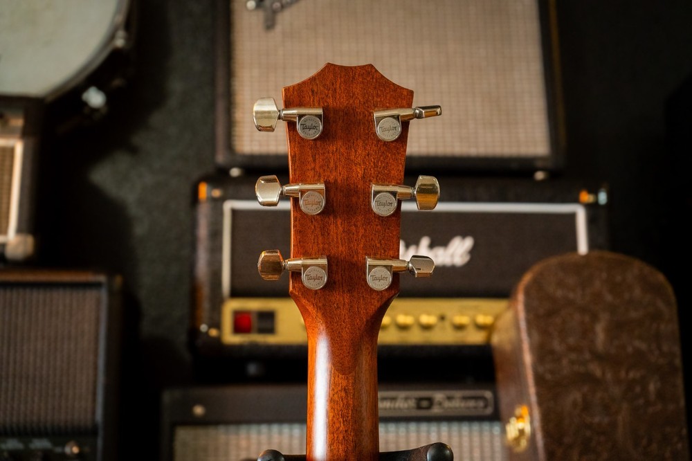 Taylor 317e with V-Class Bracing 2019 - Present - Natural