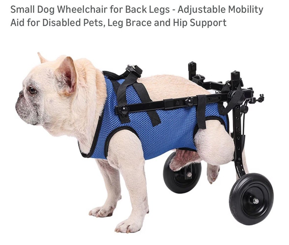Medium Dog Wheelchair NEW Blue