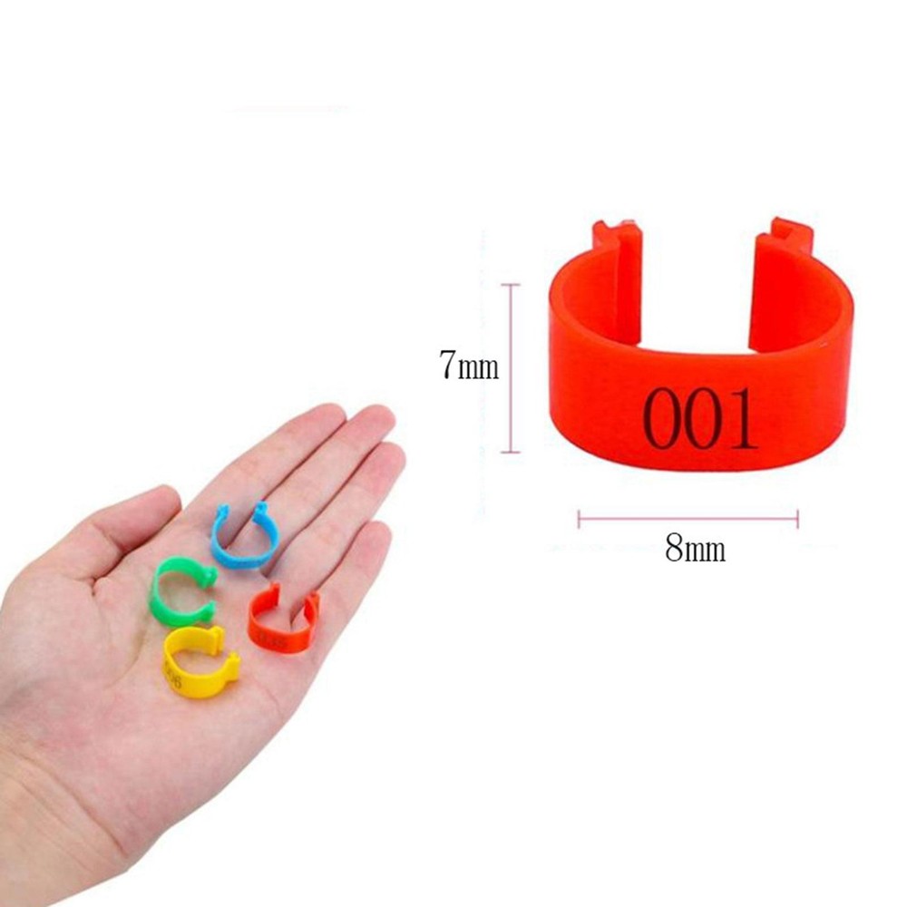 100x Pigeon Leg Bands Accessories User Friendly Marker Numbered Readable Multi