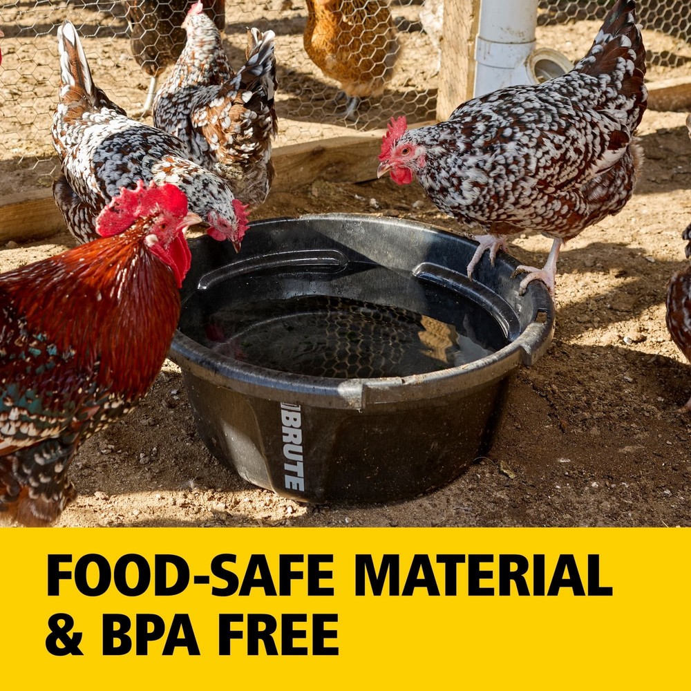6 Gal Animal Feeder W/ Rustproof Frame & Stackable Design for Livestock