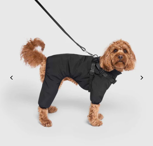 NWT Canada Pooch Harness Snow Suit