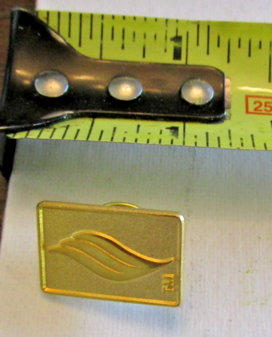 VTG TM Lapel Pin Gold-Colored Rectangular Custom Recognition 1"