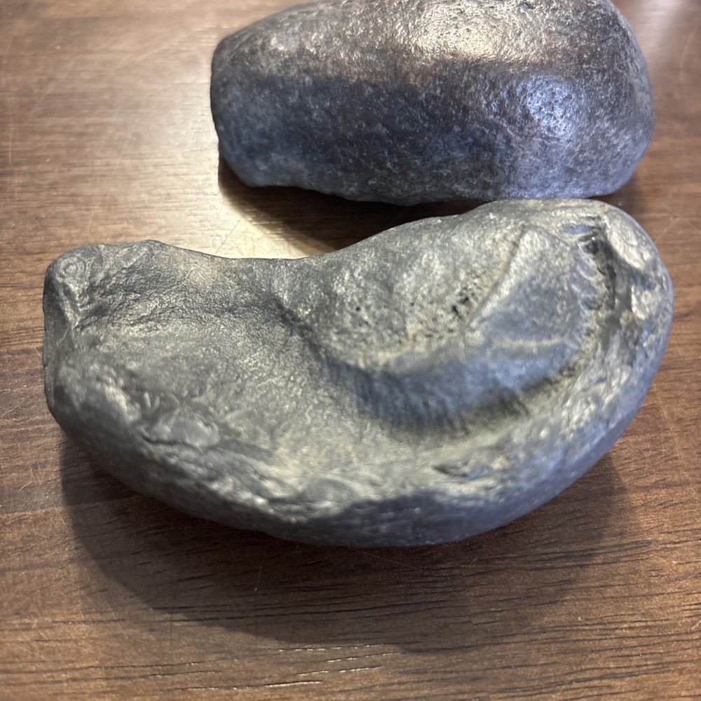 (2) 3.5 Inch Fossilized Whale Ear Bones