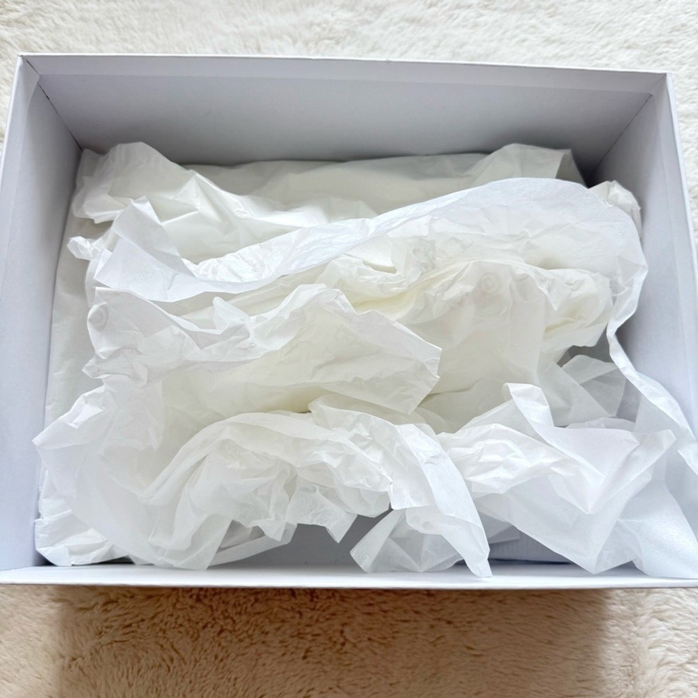 Alexander McQueen shoe box Authentic