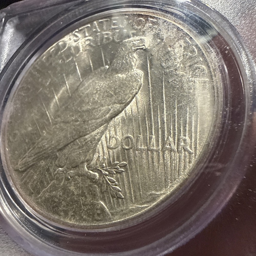 1926 Peace Dollar MS 62 PCGS