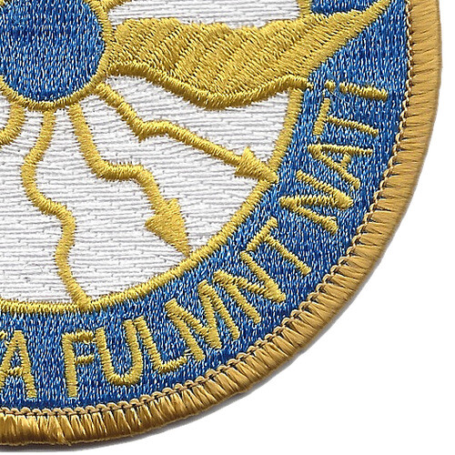 316th Cavalry Regiment Patch