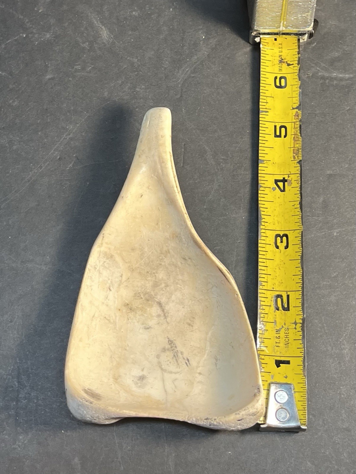 Mayan PreColumbian Authentic Conch Shell Ladle Rare Artifact Found In Belize