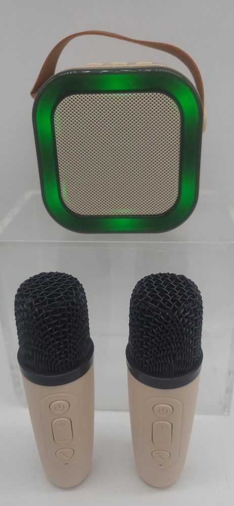 Wireless Mini Karaoke Machine 2 Microphones Bluetooth Speaker Lights