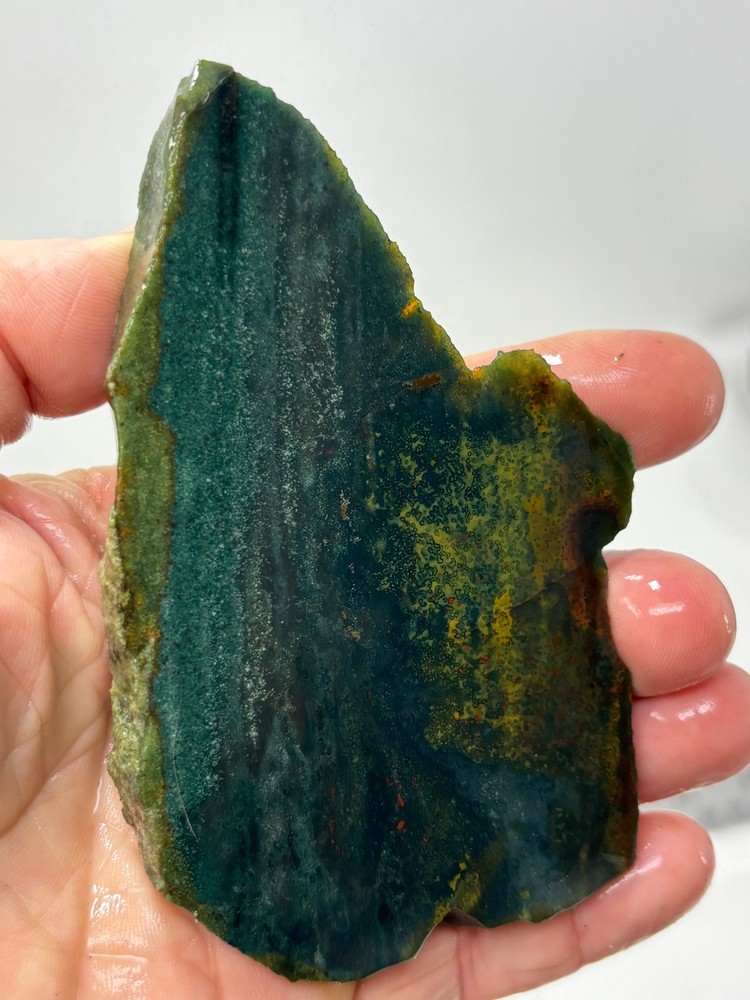 Bloodstone Jasper slab Cabbing Lapidary Collecting Combo Ship Avail