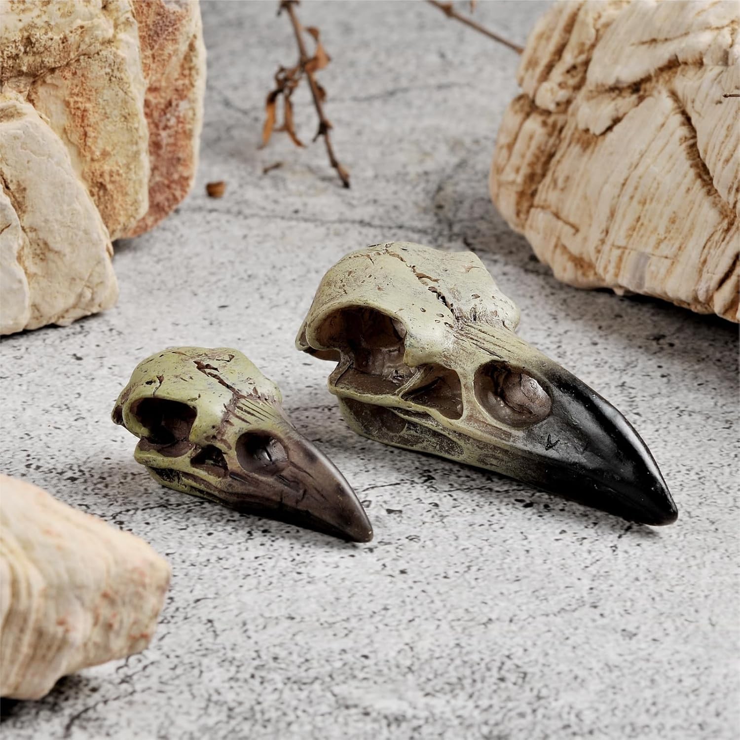 Halloween Raven Skull, Gothic Raven Decor Statue Animal Skull, Fake Bone Decor C