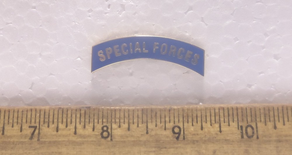 Special Forces Tab Pin