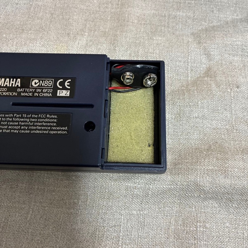 Famous Ukulele FS-5 First Ukulele Set