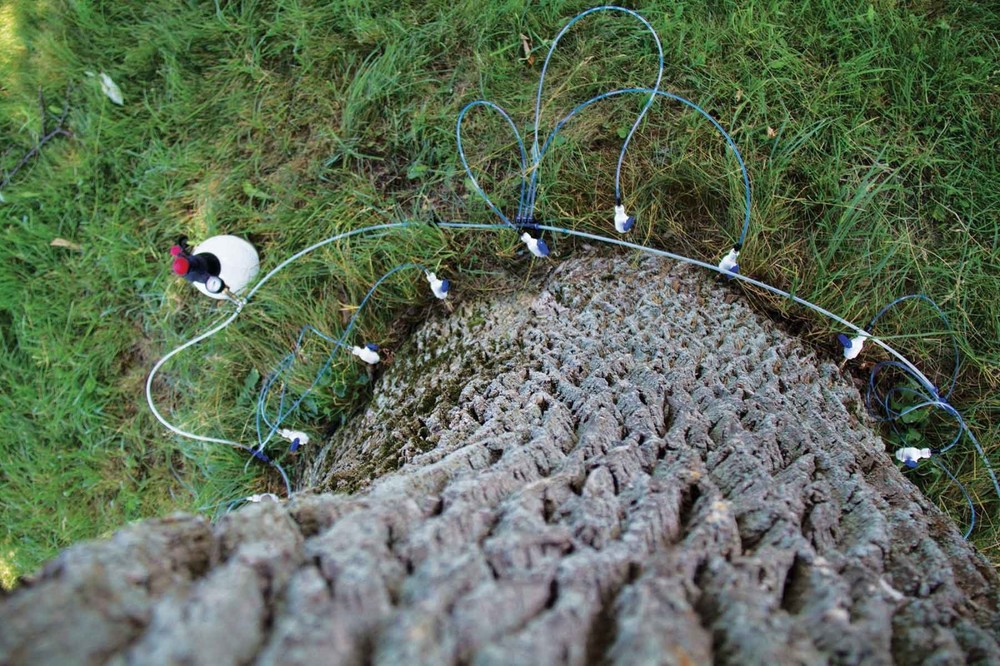 Arborists Tree Injector Tree Defend 2-liter kit w/Brass Valves