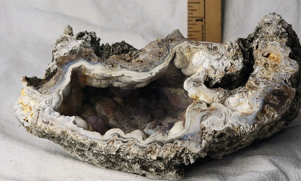 Ornate Corral Crystal Type Rock
