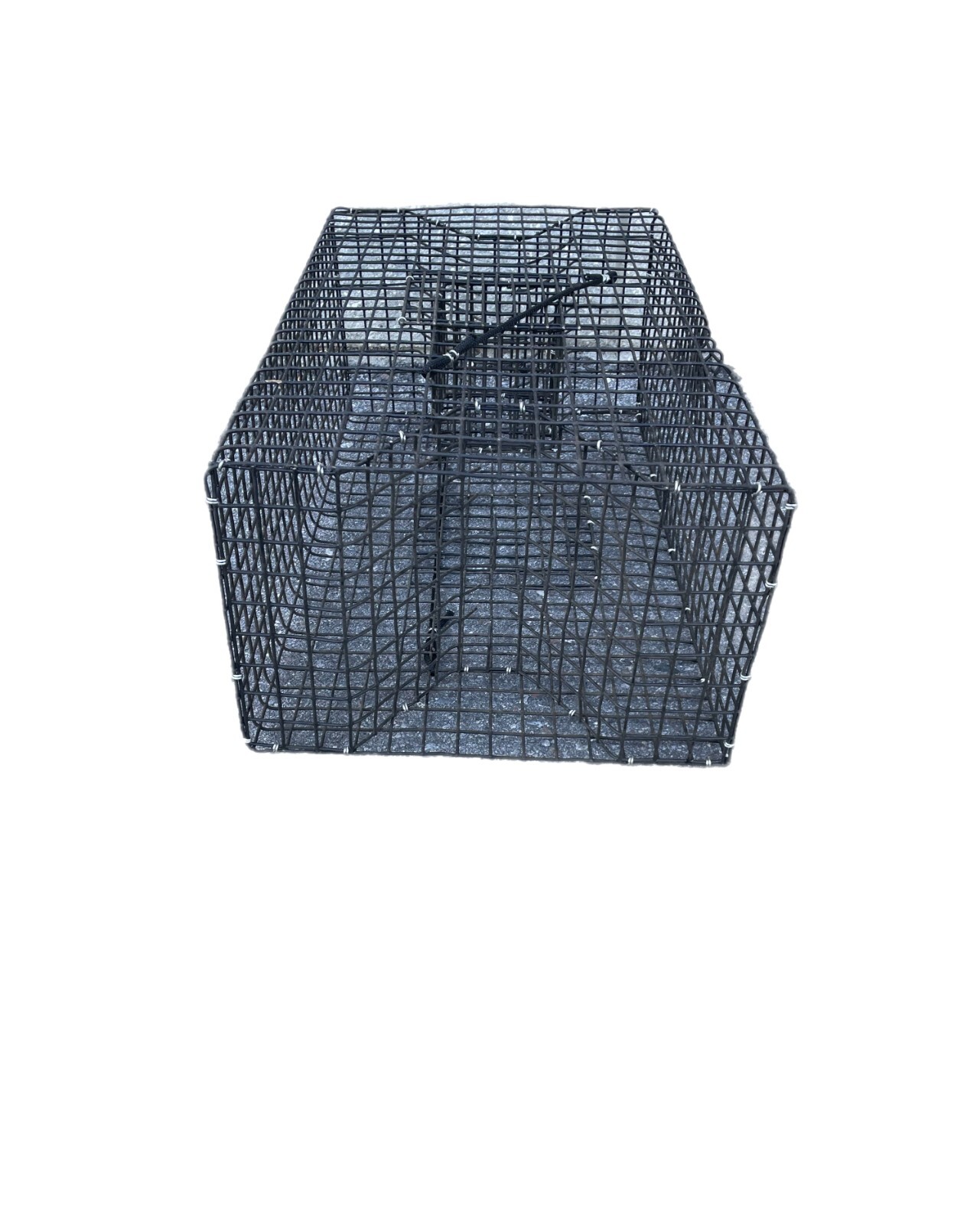 Joy Fish Pinfish Trap