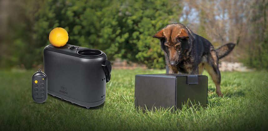 Dogtra Ball Trainer PRO Rechargeable 100-Yard Dual-Function Launcher / Dropper