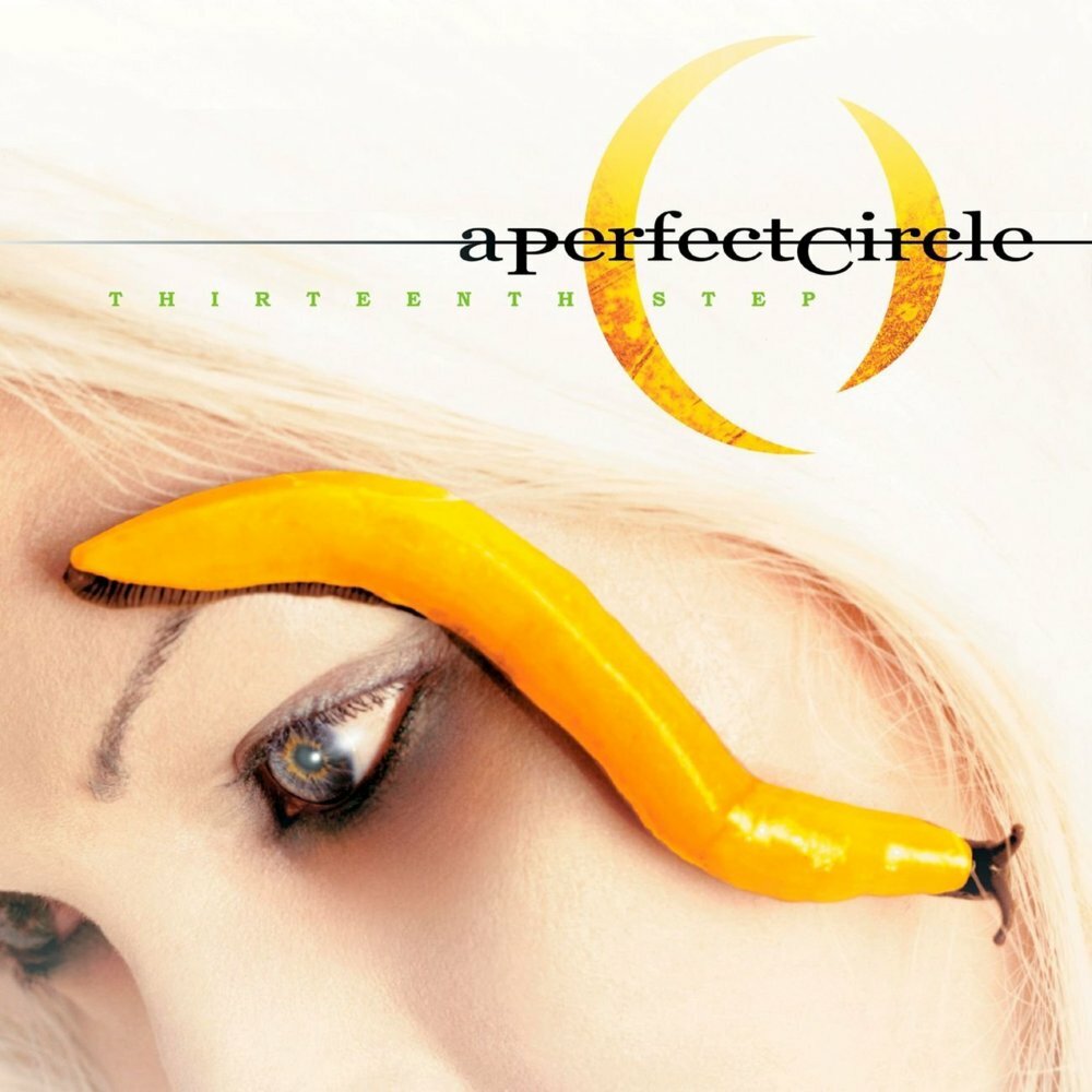 A Perfect Circle 'Thirteenth Step' Vinyl - NEW