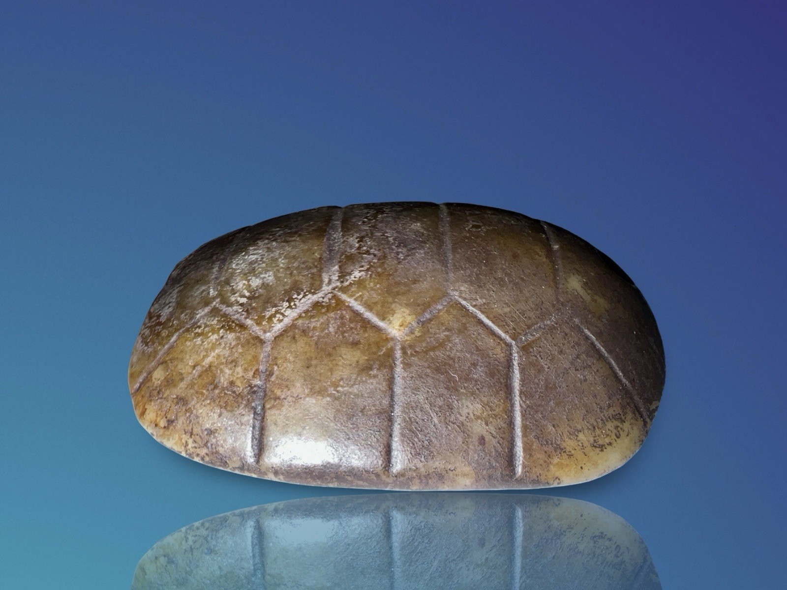 Pueblo Native American Turtle Fetish Pendant c.1800s – Pump Drilled