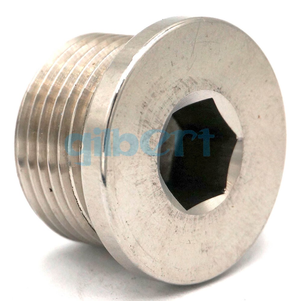 3/4" BSP Male 304 Stainless Hex Socket Countersunk End Plug Flanged