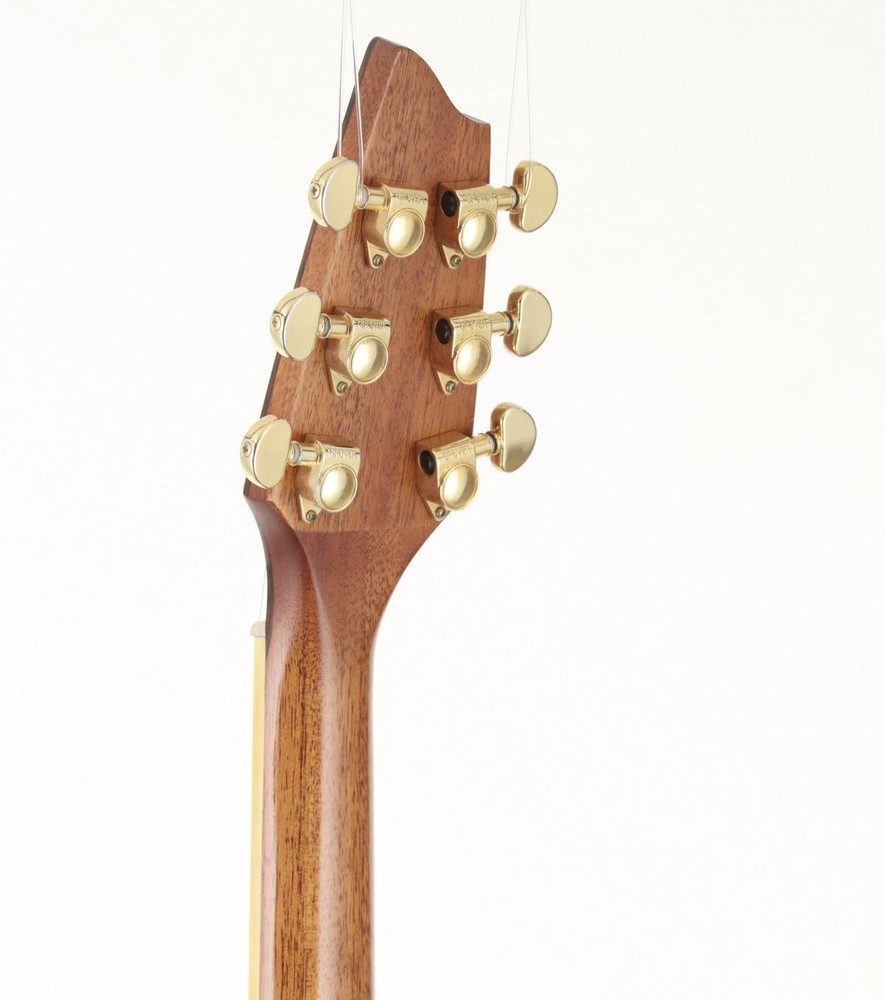 Breedlove AC25/SR PLUS [06041903]