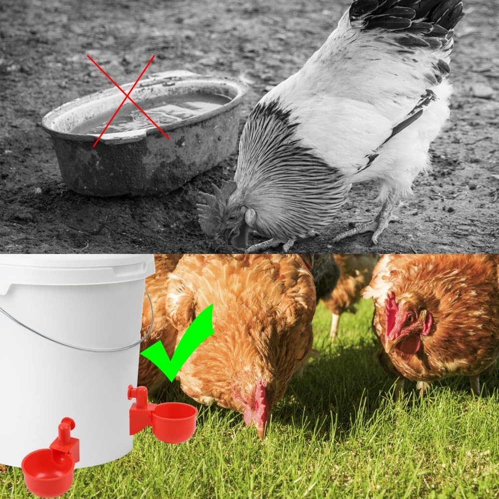 6 Pack Large Automatic Poultry Waterer Cups with Mounting Opener - Durable PVC
