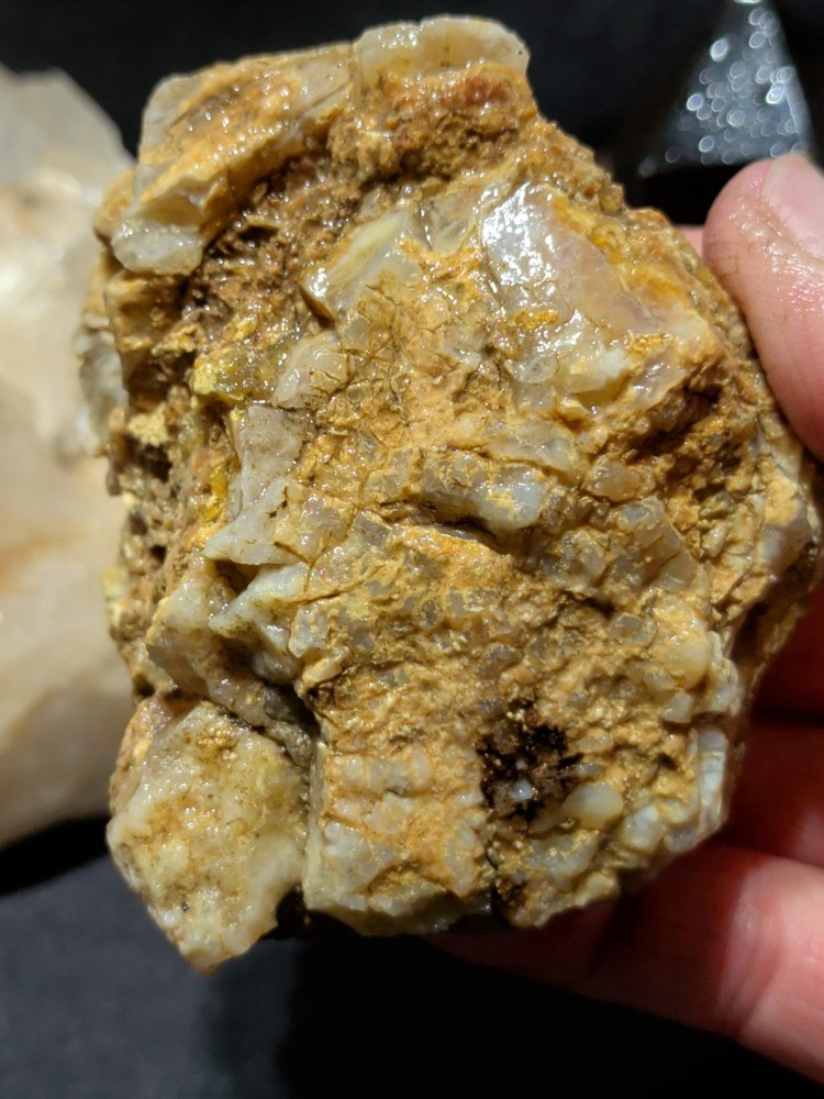 Petrified Wood Specimen Natural Form (7oz)