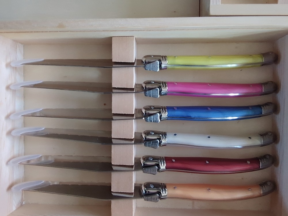 18pc Not branded Laguiole Like Flatware Set NIB