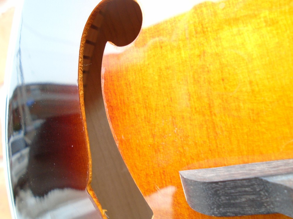 Gold Tone GM-70 Plus Mandolin, store demo