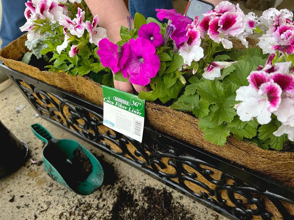 Bosmere 36" Pre-Formed Replacement Coco Liner with Soil Moist for Window Basket