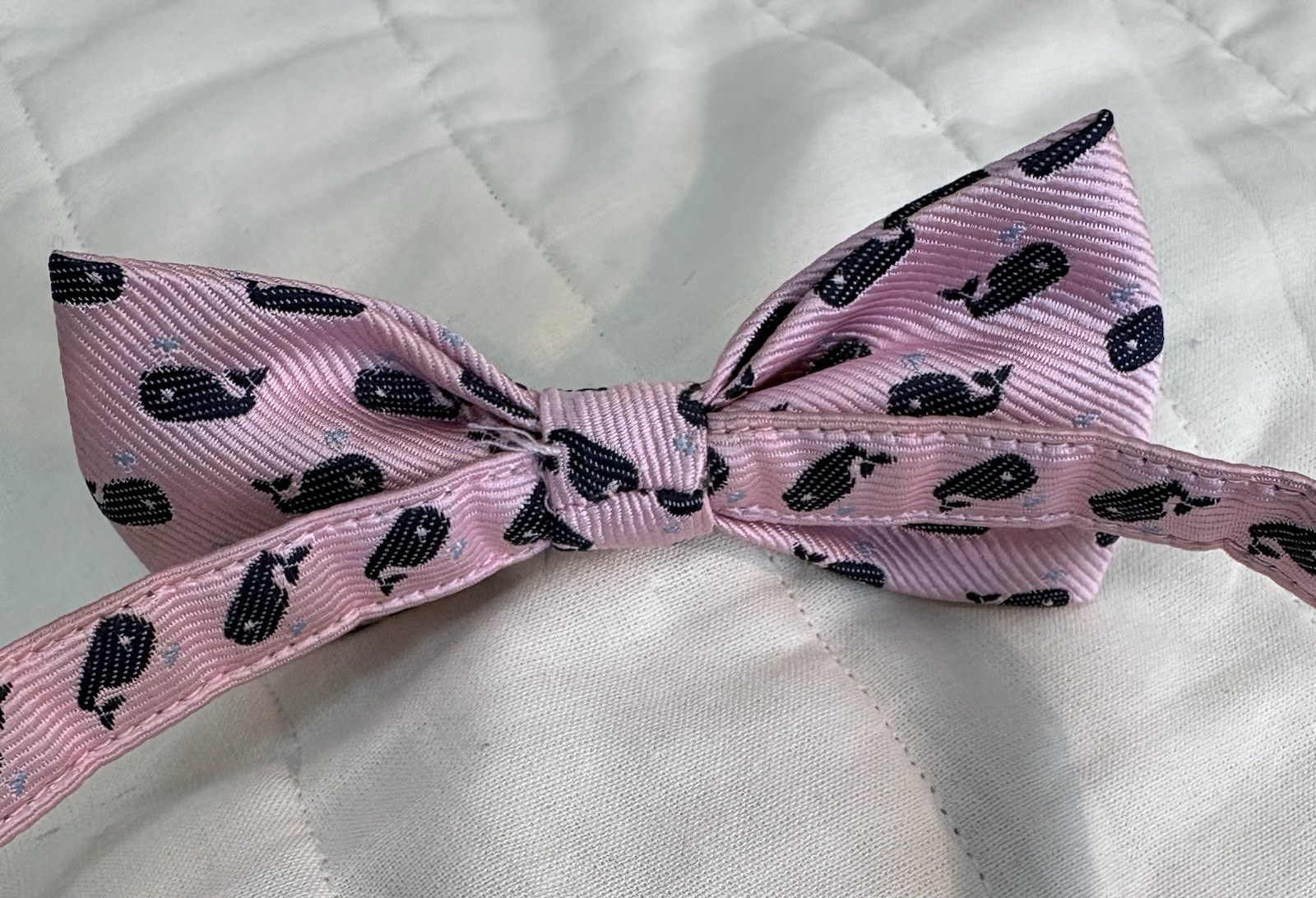 Janie and Jack Pink w/Blue Whales Boy's Bow Tie Adjustable Hook & Loop Fastener