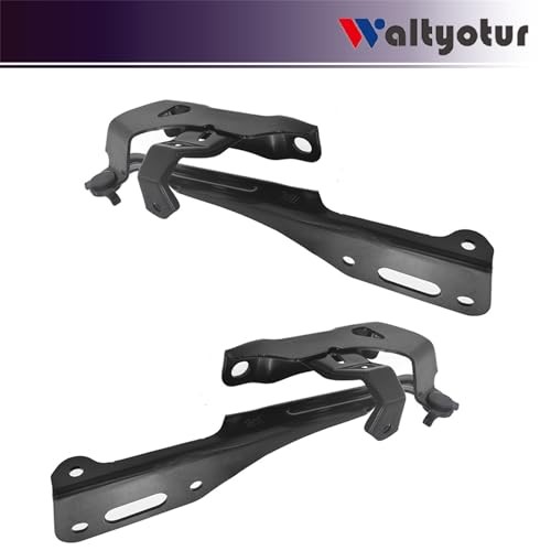 Left Driver and Right Passenger Side Hood Hinge Set Replacement for 2016-2019