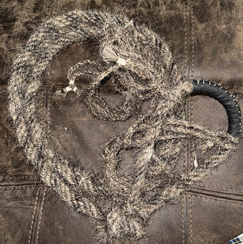 CHARRO CABRESTO BOSALILLO