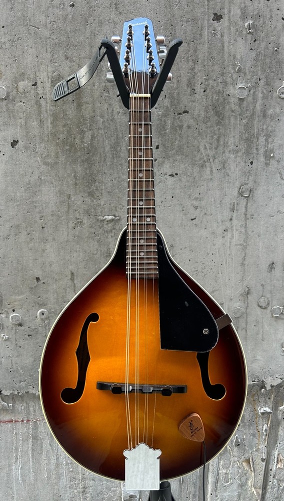 Savannah so-sa090-tsn Mandolin 8 string with Pickup (read)