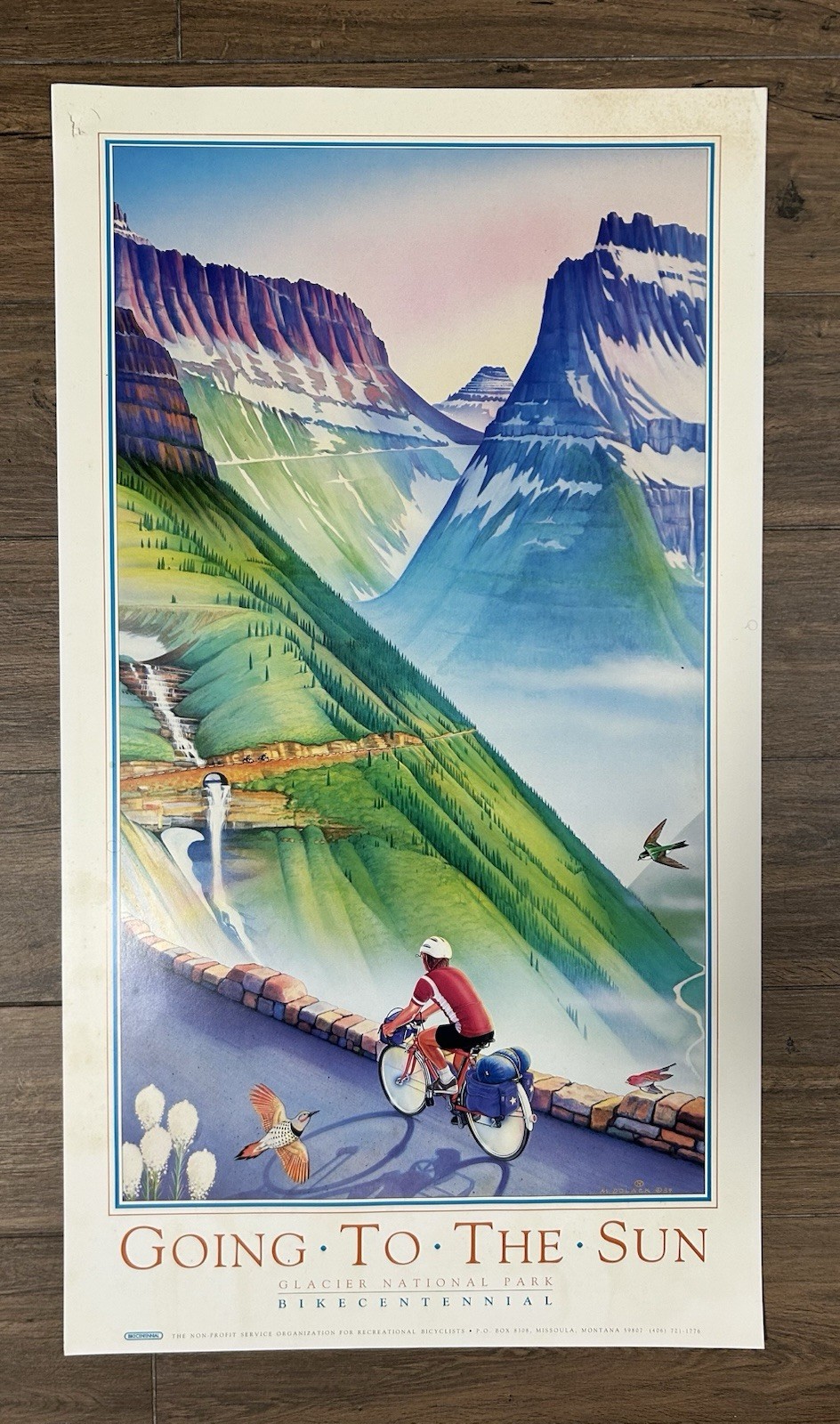 Vintage Bicycle Poster Lot - Near Mint Condition - 9 posters