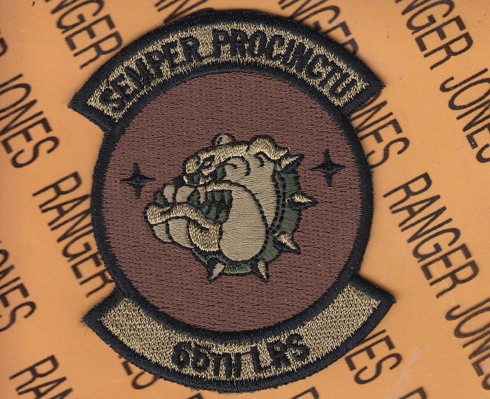 USAF Air Force 65th Logistics Readiness Sq LRS ~3" OCP NO HOOK patch c/e