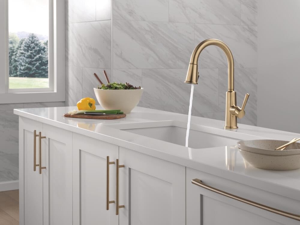 Delta 19730LF-CZ - Kitchen Faucet
