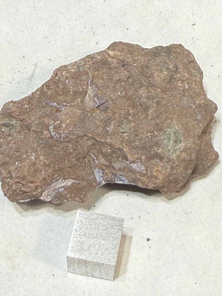 Fossil Placoderm Pieces