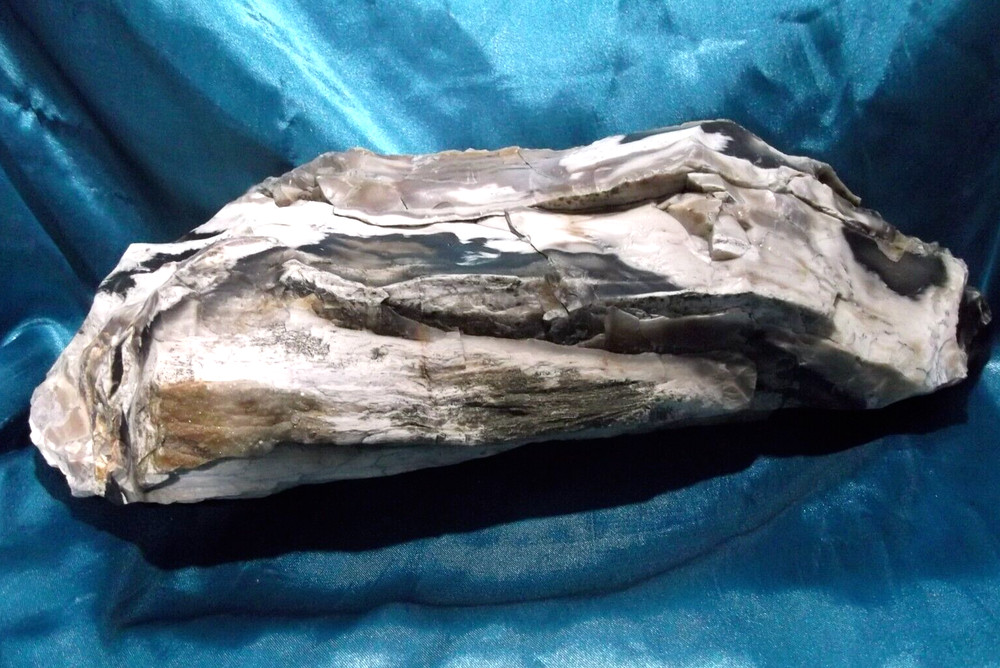 Opalized Petrified Wood Rough WA State 11 LBS. Display Specimen UV Reactive