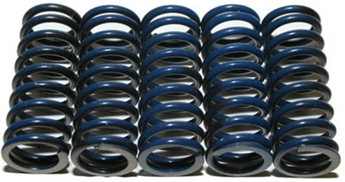 Hinson Hi-Temp Clutch Spring Kit CS294-5-0109