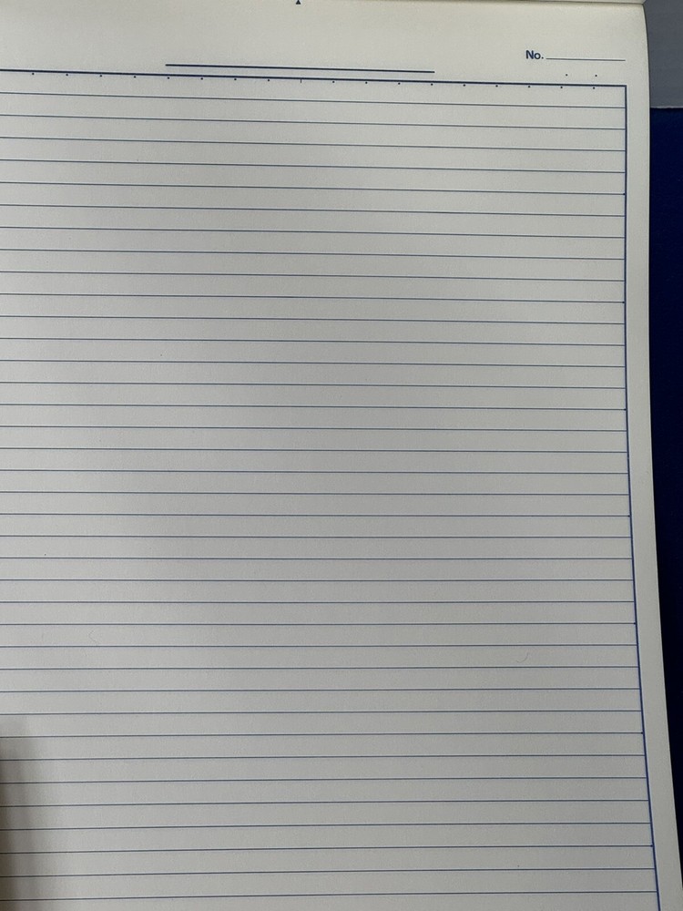 2 New KOKUYO Accounting Pad Pads