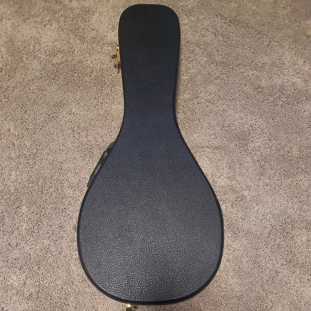 Washburn M1SDLTBL-A Mandolin with Case, 8 string